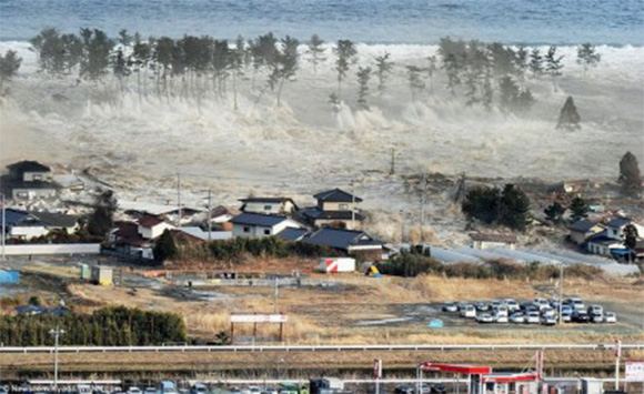 what-if-a-tsunami-hits-japan-lifesaving-association